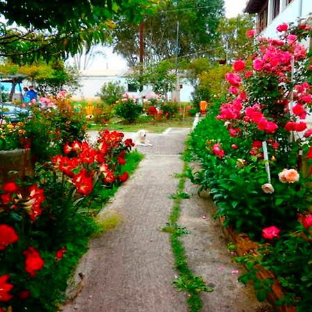 Eftichia Apartment Ρόδα Εξωτερικό φωτογραφία