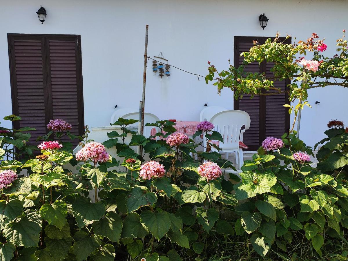 Eftichia Apartment Ρόδα Εξωτερικό φωτογραφία
