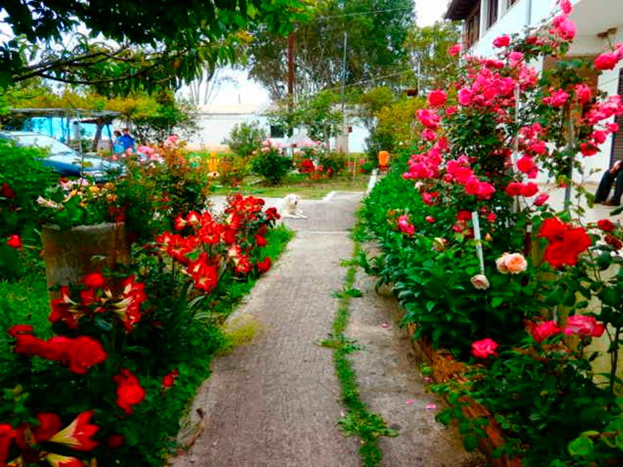 Eftichia Apartment Ρόδα Εξωτερικό φωτογραφία